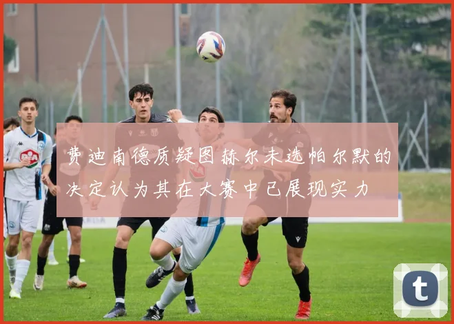 费迪南德质疑图赫尔未选帕尔默的决定认为其在大赛中已展现实力